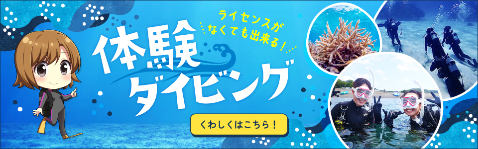 千葉県館山市の沖ノ島海水浴場で体験ダイビングを開催しています。
初めての方でも安心して出来るのが体験ダイビングでダイビングライセンスがなくても参加できます。